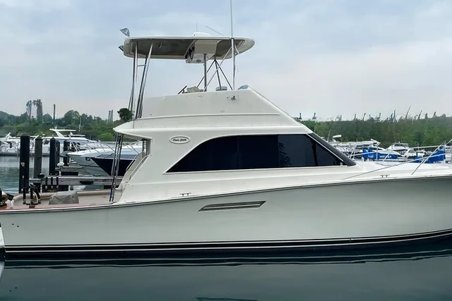 Chicago Boating or Fishing Charter on Lake Michigan - Image 2