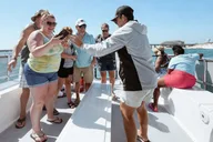 Panama City Beach Snorkeling and Dolphin Watching Tour thumbnail 4