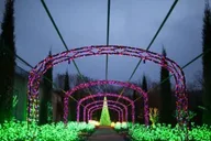 Nashville Holiday Lights Trolley Tour thumbnail 5