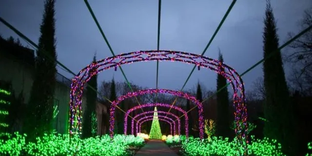 Nashville Holiday Lights Trolley Tour - Image 5