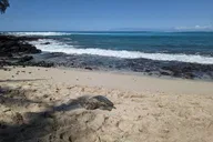 Big Island Private Van Tour with Driver thumbnail 6