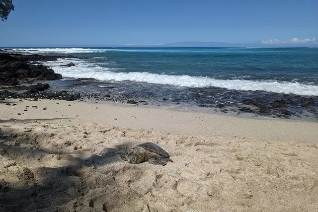Big Island Private Van Tour with Driver - Image 6