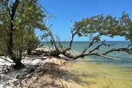 Ten Thousand Islands Eco Tour thumbnail 6