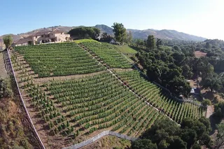 Paso Robles Wine Tasting Flight