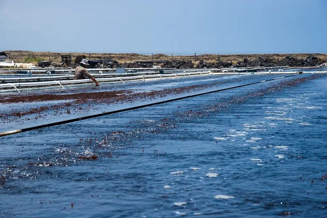 Big Island Abalone Farm Tour - Image 5