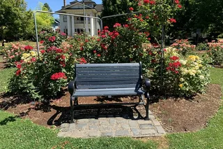 Portland Walking Tour: Self-Guided City Game 90 Min