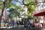 Miami Beach Bike Tour thumbnail 4