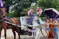 New York City Central Park Horse Carriage Tour thumbnail 1