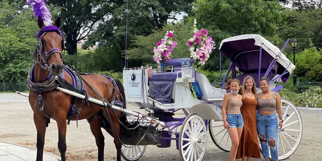 New York City Central Park Horse Carriage Tour - Image 1