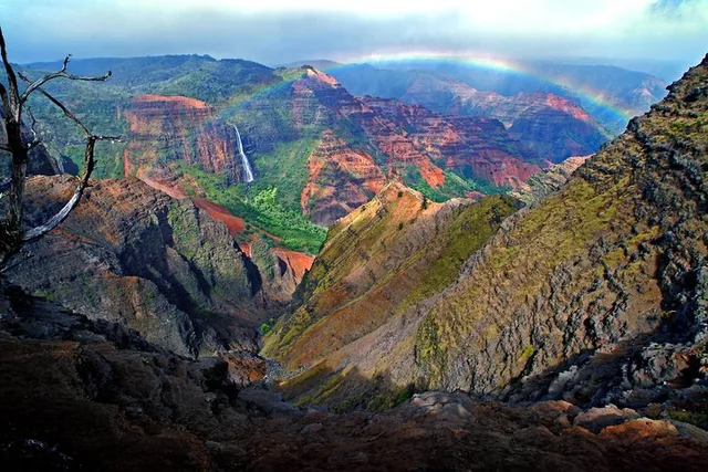 Kauai Private Tour of South & West Shores - Image 2