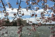 Washington Private Guided Bike Tour thumbnail 6