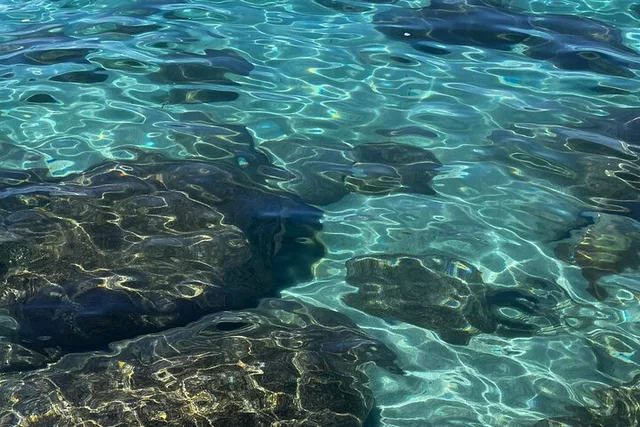 Lake Tahoe Clear Kayak Adventure - Image 6