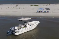 Charleston Private Boat Ride and Beach Excursion thumbnail 3