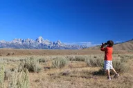 Jackson Hole Wildlife Safari thumbnail 3