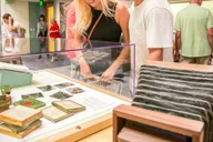 San Diego Natural History Museum Night Entry thumbnail 2