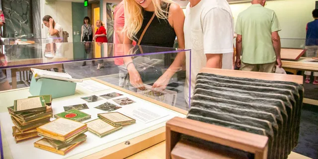 San Diego Natural History Museum Night Entry - Image 2