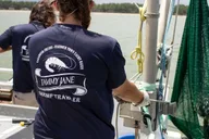 Hilton Head Shrimp Trawling Boat Tour thumbnail 4