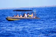Kailua-Kona Private Marine Charter thumbnail 1