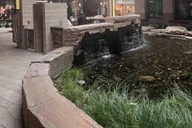 Salt Lake City Guided Highlights Tour thumbnail 6