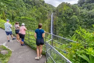 Hilo Volcano and Waterfalls Private Tour thumbnail 3