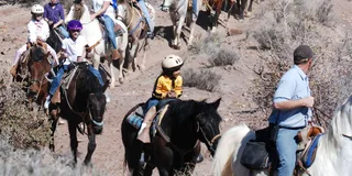 Las Vegas Horseback Ride with Breakfast