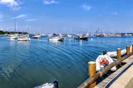 Boston Martha's Vineyard Day Trip with Optional Island Tour thumbnail 5