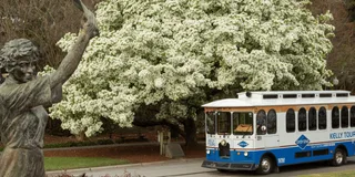 Savannah Guided Trolley Tour with Shuttle 1.5 hr