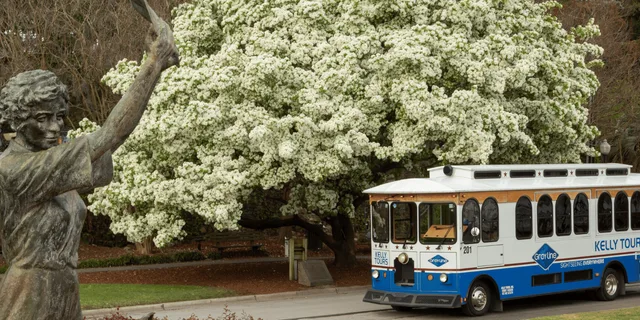 Savannah Guided Trolley Tour with Shuttle 1.5 hr - Image 1
