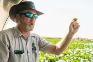 Miami Everglades & Key West 3-Day Tour thumbnail 3