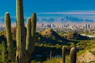 Phoenix Private Walking Tour thumbnail 4