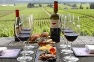 San Francisco Muir Woods & Napa Private Wine Tour 8 hr thumbnail 3