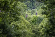 New River Gorge Zip Line Adventure thumbnail 5