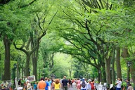 New York Central Park Photography Tour thumbnail 4