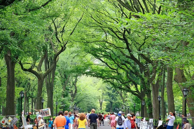 New York Central Park Photography Tour - Image 4