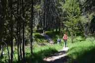 Yellowstone Hike to Lake Shoshone (Private) thumbnail 3