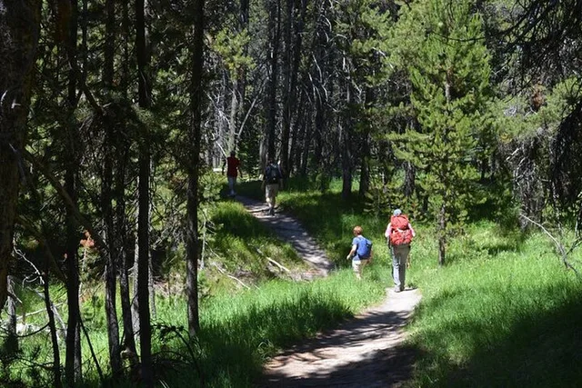 Yellowstone Hike to Lake Shoshone (Private) - Image 3