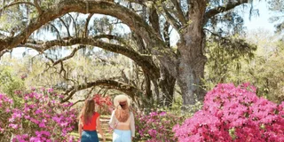 Charleston Historic City Tour and Magnolia Plantation