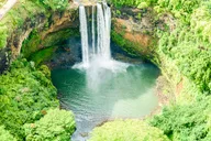 Maui Helicopter Tour with Hana Rainforest Landing thumbnail 5