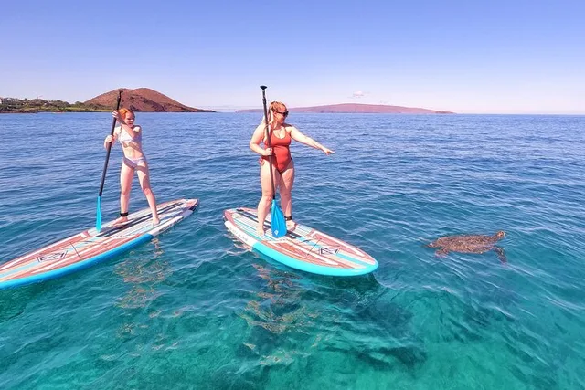 Maui Stand Up Paddle Boarding Tour in Turtle Town - Image 4