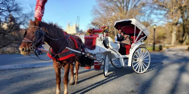 New York City Horse-Drawn Carriage Ride - Image 5