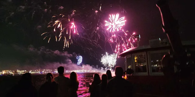 Chicago Fireworks Cruise on a Historic Fireboat - Image 2
