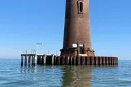 Folly Beach Dolphin and Morris Island Cruise 2 hr thumbnail 6