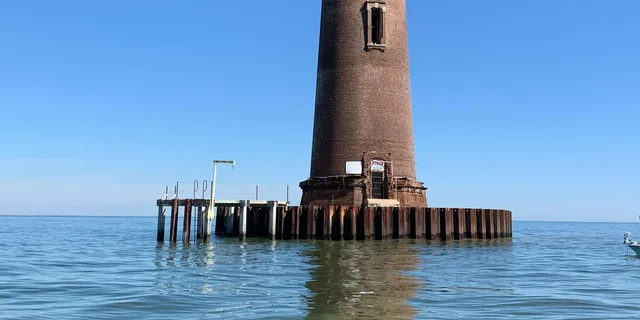 Folly Beach Dolphin and Morris Island Cruise 2 hr - Image 6