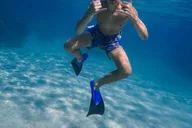 Maui Kayak and Snorkel Tour at Turtle Town thumbnail 6