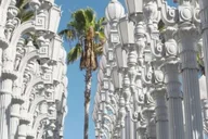 Los Angeles Street Food Tour with Local Guide thumbnail 2