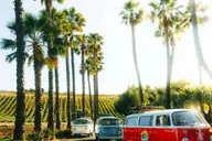 Temecula VW Bus Wine Tour thumbnail 1