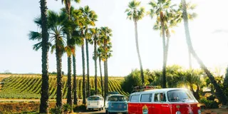 Temecula VW Bus Wine Tour
