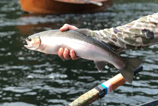 Rogue River Fishing and Rafting Experience - Image 6