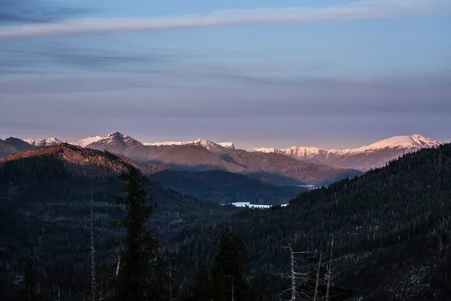 Ketchikan Backcountry Driving Tour in the Tongass - Image 3