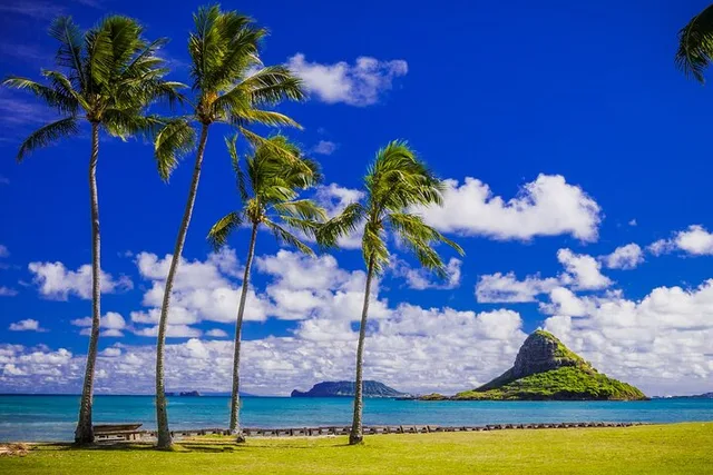 Oahu Circle Island Tour with Snorkeling - Image 2